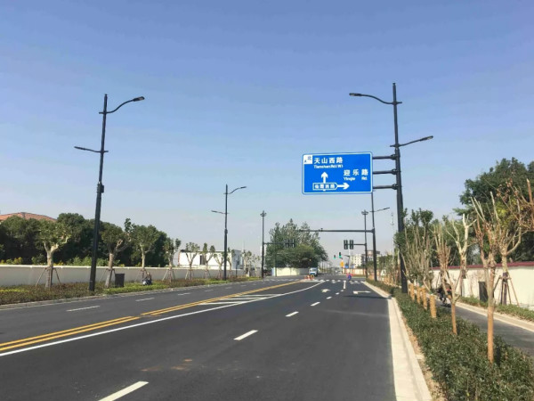 進口博覽會周邊道路多杆合一路燈