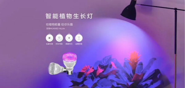 智能植物生長燈（dēng）首發，上線（xiàn）獲緊俏
