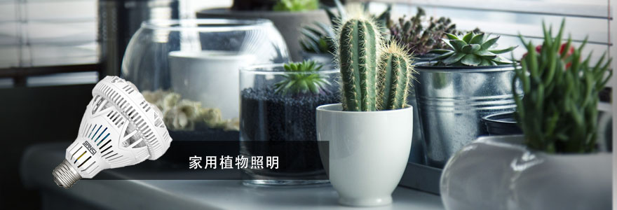 色多多AV导航·植（zhí）物照（zhào）明
