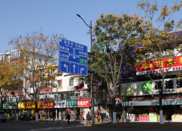 南通市區色多多AV导航LED陶瓷像（xiàng）素模塊化路燈