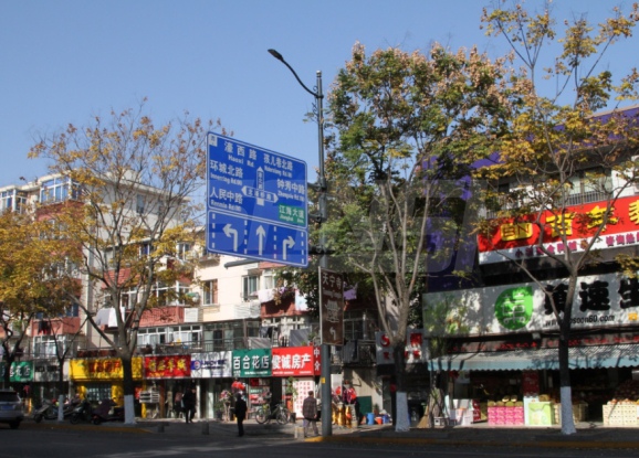 南通市區色多多AV导航LED陶瓷像素模塊化路燈