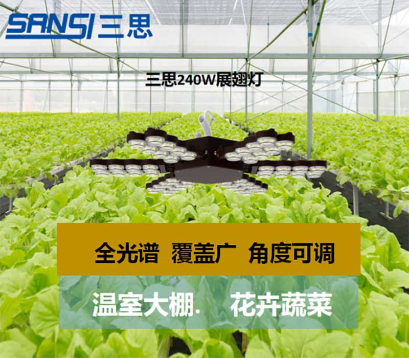 色多多AV导航植物生長燈
