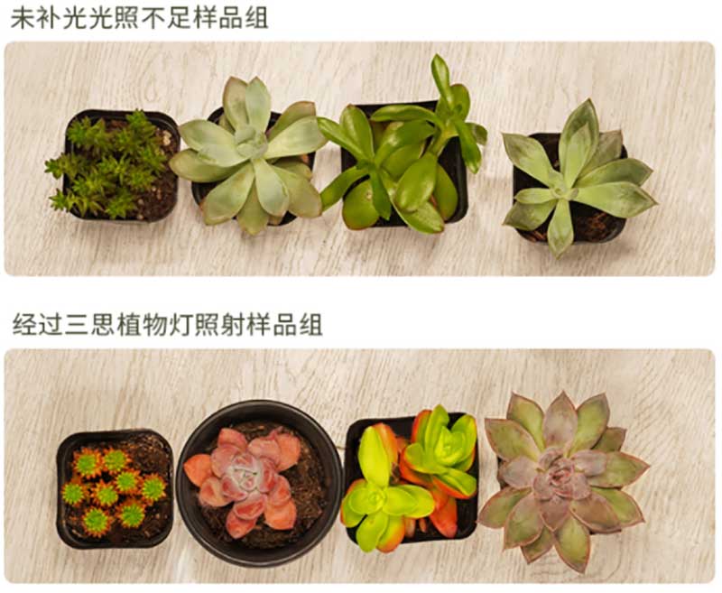 上海（hǎi）色多多AV导航
