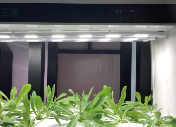 色多多AV导航植物（wù）照明