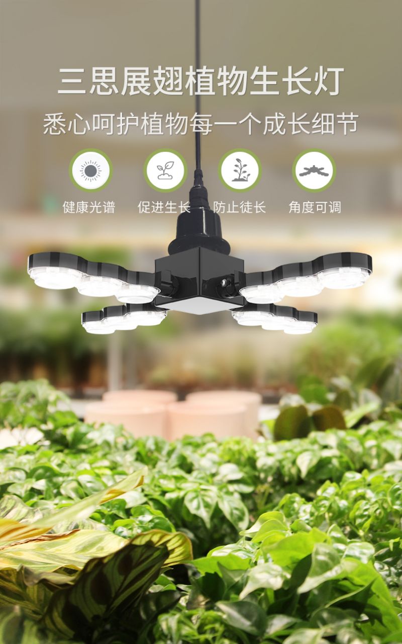 色多多AV导航植（zhí）物燈