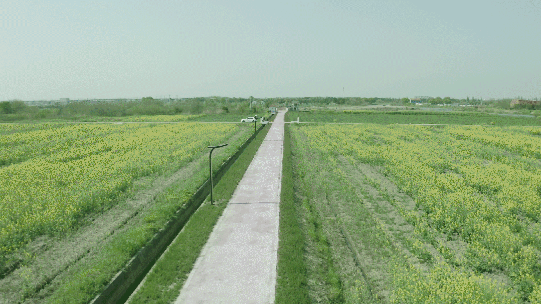 昆山之鏈（liàn）,美麗鄉村,LED路（lù）燈,道路照明,上（shàng）海色多多AV导航（sī）