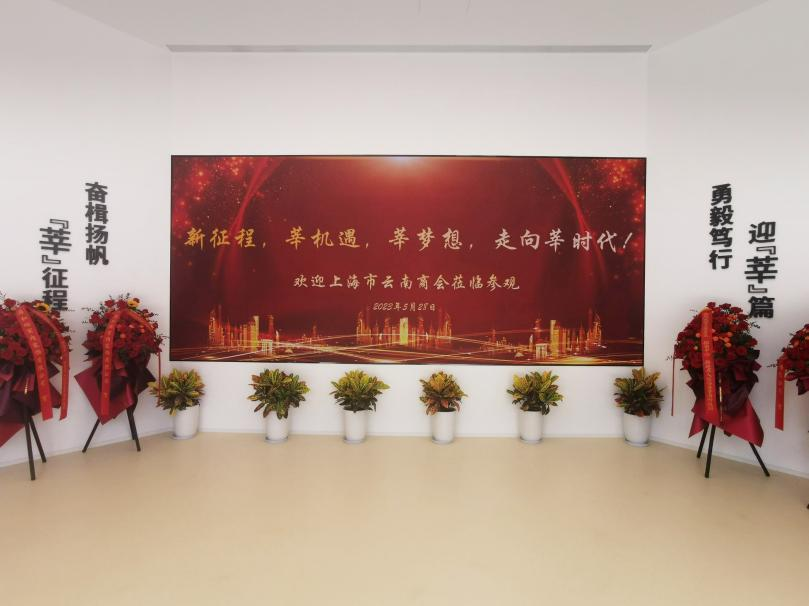 色多多AV导航,智慧顯示（shì）,助力臨港,莘海科（kē）技（jì）園,人才體係建設