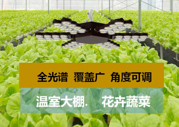 LED顯示（shì）屏,LED顯（xiǎn）示屏廠家（jiā）,LED照（zhào）明廠家（jiā）,照（zhào）明解決方案,顯示屏解決方案